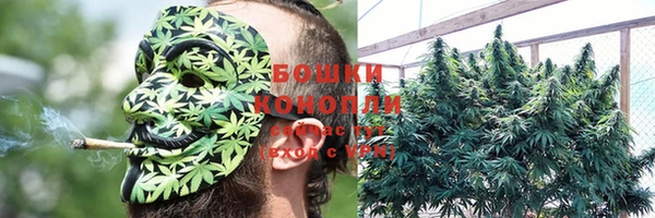 мяу мяу кристалл Дмитров