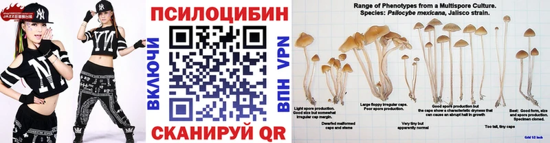 МЕГА вход  Осинники  Псилоцибиновые грибы Psilocybe  наркотики 