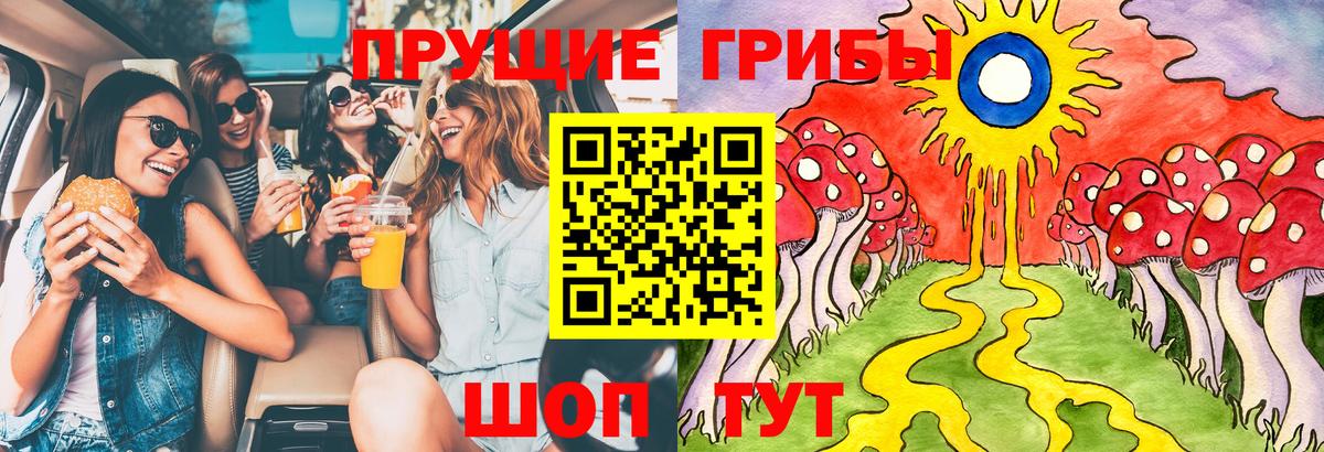 Псилоцибиновые грибы Psilocybine cubensis  Галлюциногенные грибы ЛСД  Вход с VPN  Осинники 