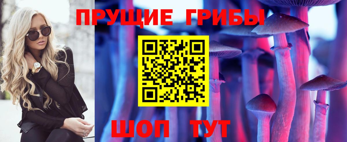 Псилоцибиновые грибы ЛСД Осинники